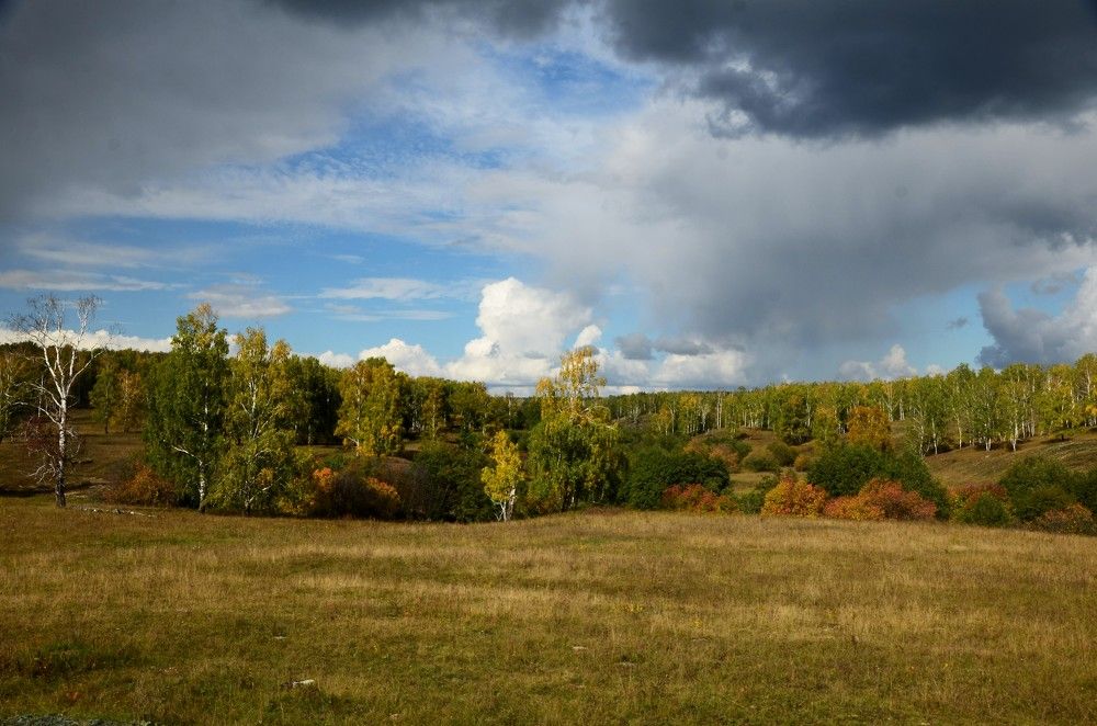 Photograph by Александр Яценко