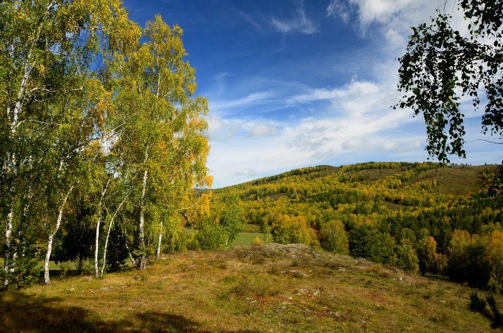 Photograph by Александр Яценко