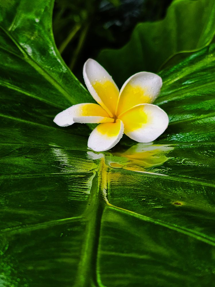 Photograph by Сергей Кесаев