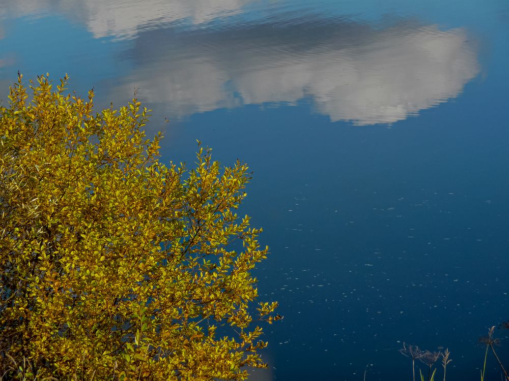 Photograph by Евгений Соколов