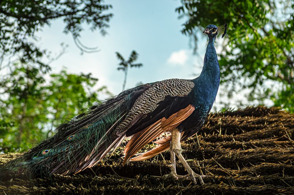 Фотография автора Олег Васильев