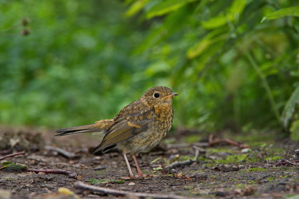 Photograph by Алексей Бородинов