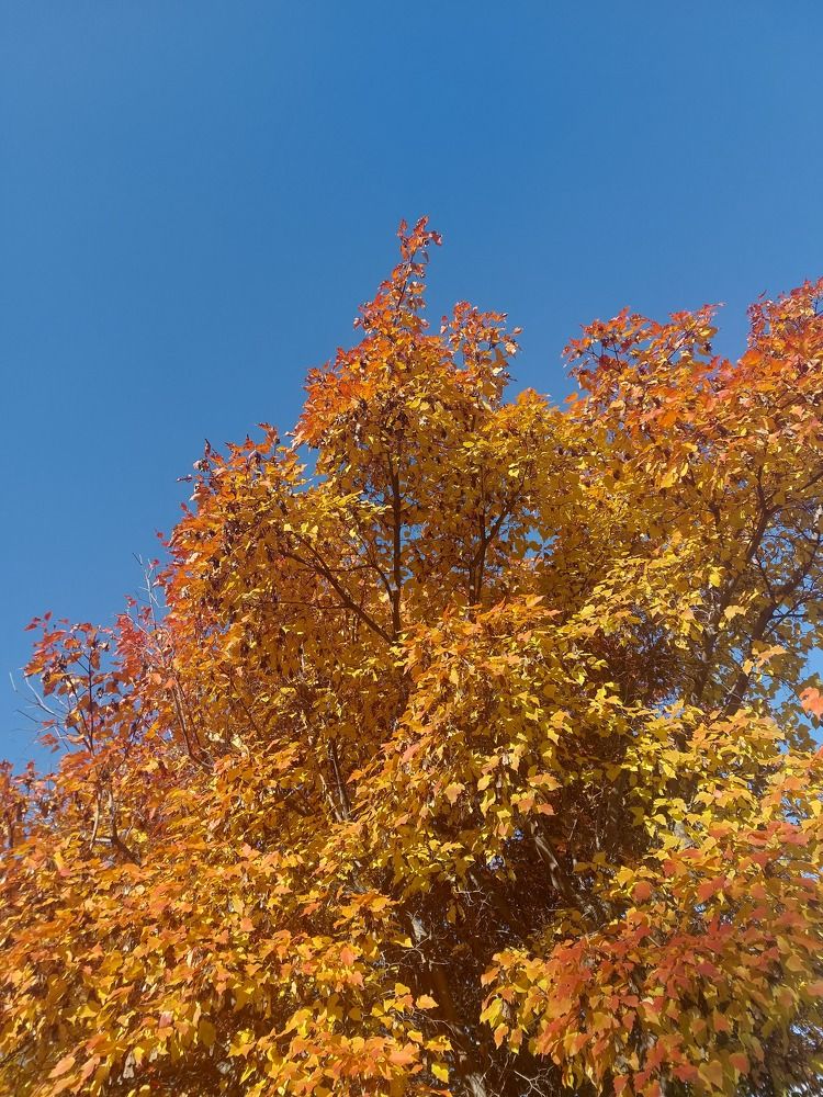 Photograph by Мария