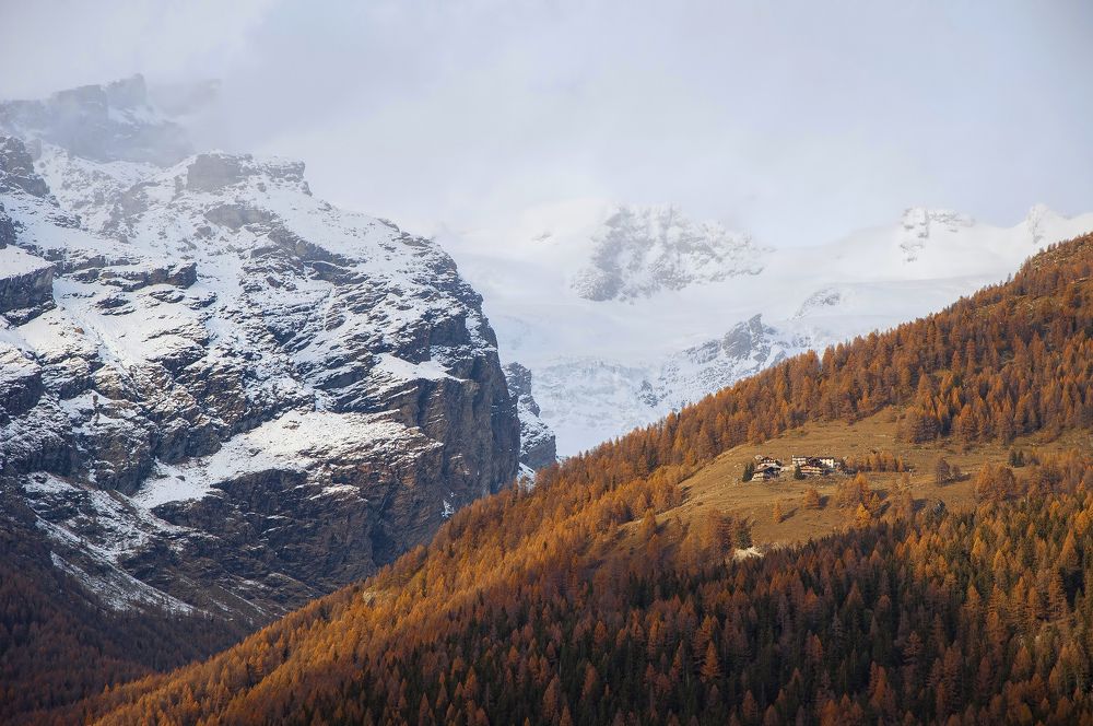 Photograph by Svetlana Rizzo