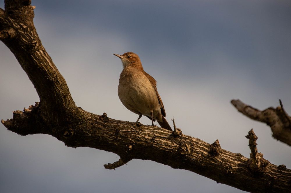 Photograph by Jorge Bagnuoli
