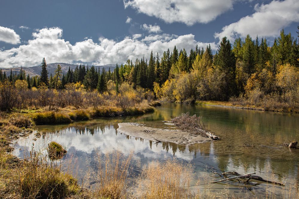 Photograph by Елена Павлова