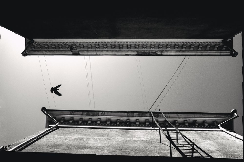 Photograph by Анастасия Бурая