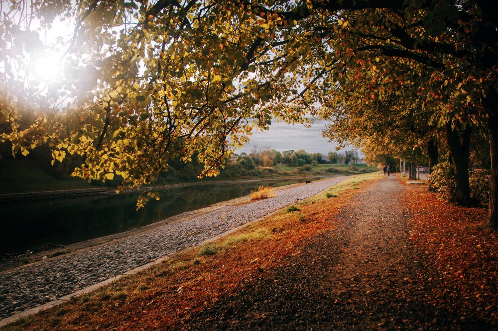 Photograph by Элен Пройс