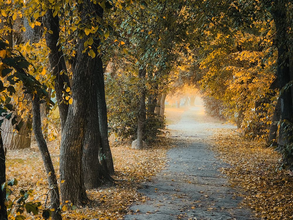 Photograph by Элен Пройс