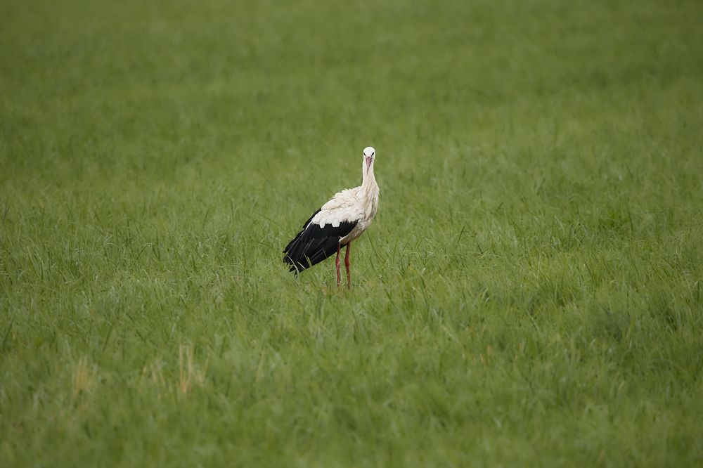 Photograph by Виктория Ахмылова