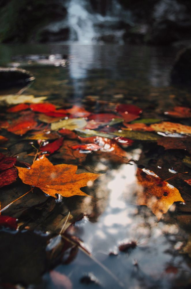Photograph by Елена Савенкова