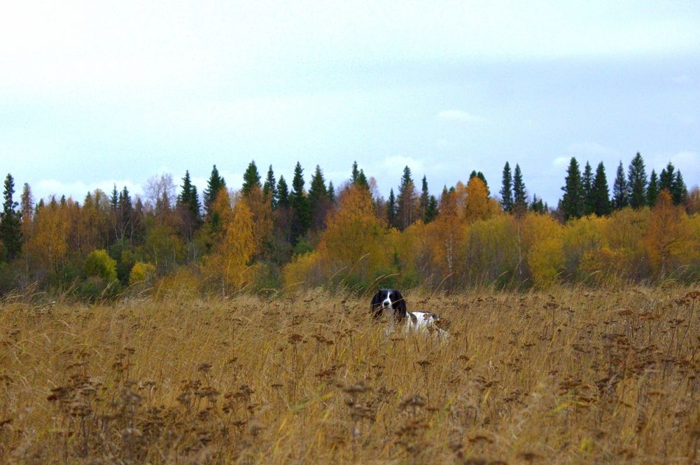 Photograph by Екатерина Филина