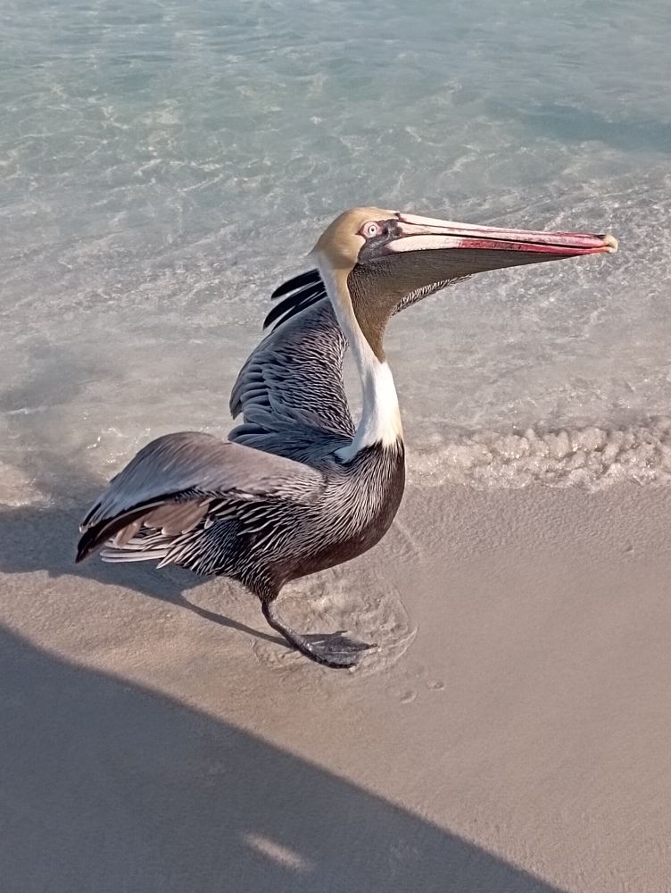 Фотография автора Natalia Khodina