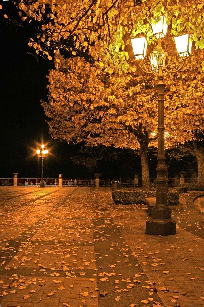 Photograph by Claudio Bonaccorsi