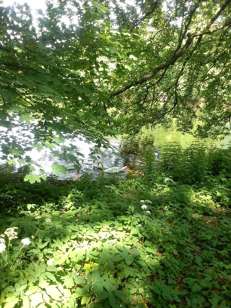 Photograph by Ольга Коркина