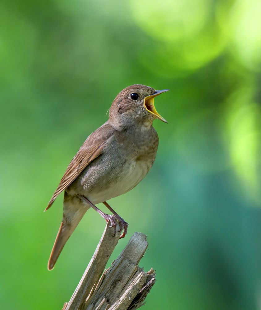 Фотография автора Михаил Ездаков