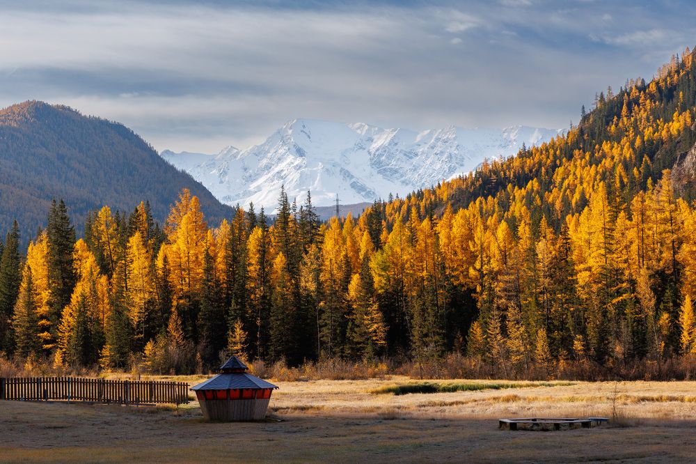 Photograph by Людмила Аксенова