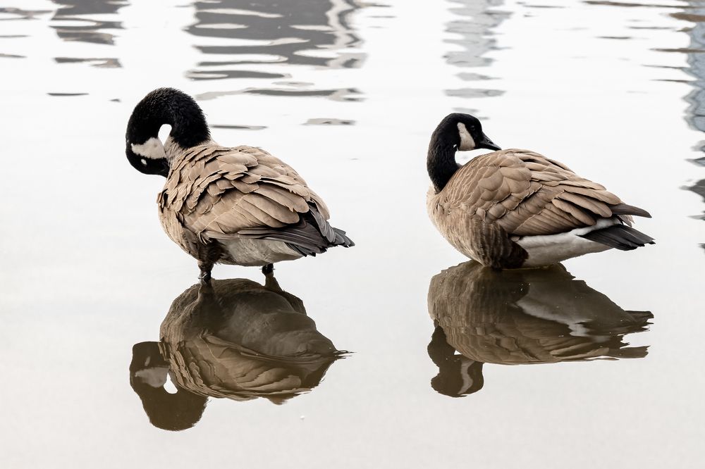 Photograph by Кермен Манджиева