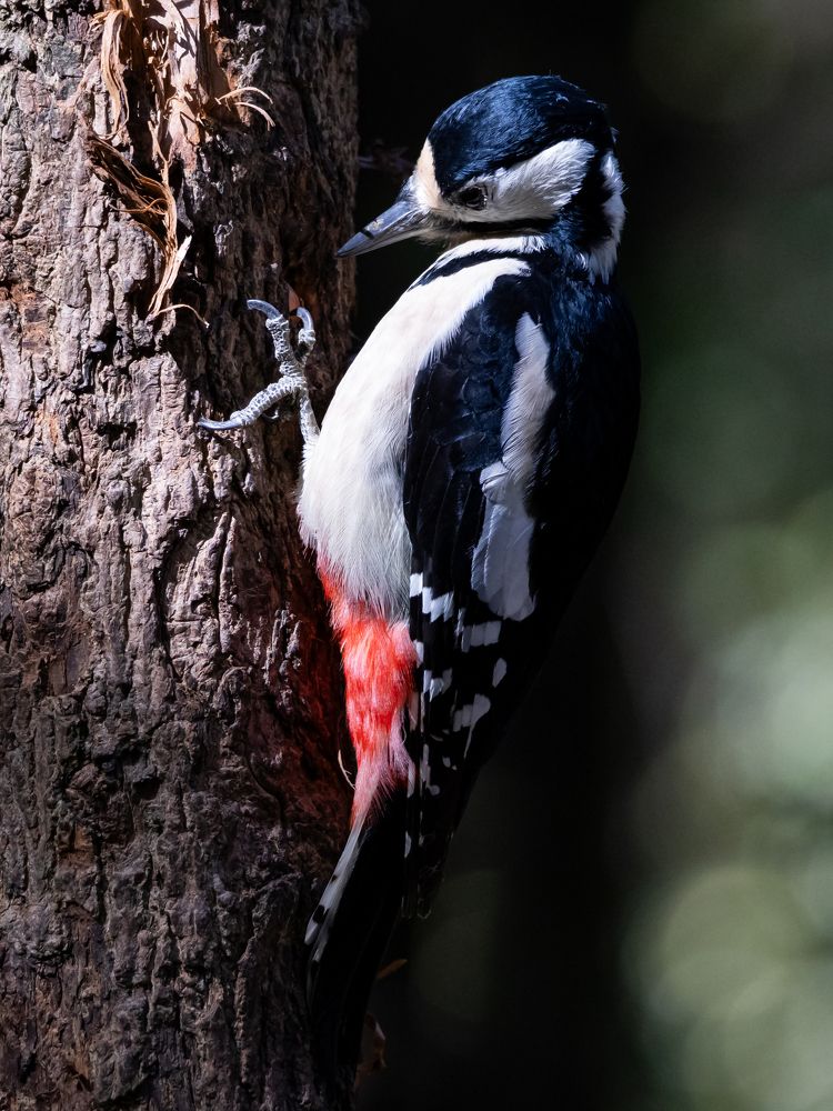 Photograph by Игорь Криулин