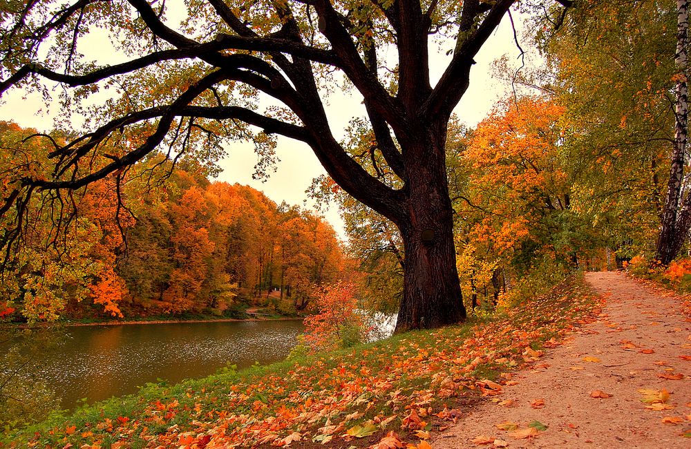 Осень в Спасское-Лутовиново