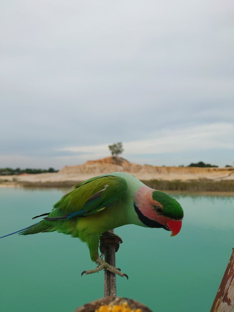 Photograph by Nicolas Salenussa