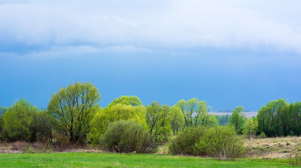 в ожидании грозы