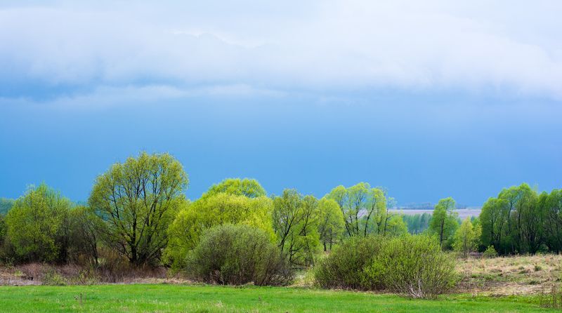 Виктор, Russia
