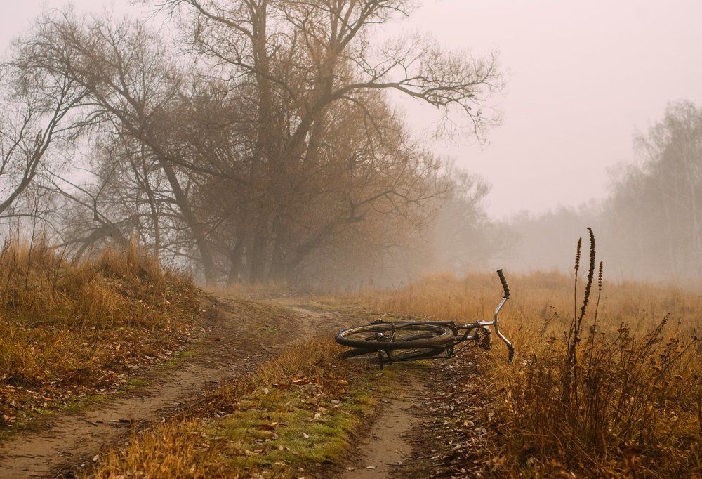 Photograph by Дмитрий