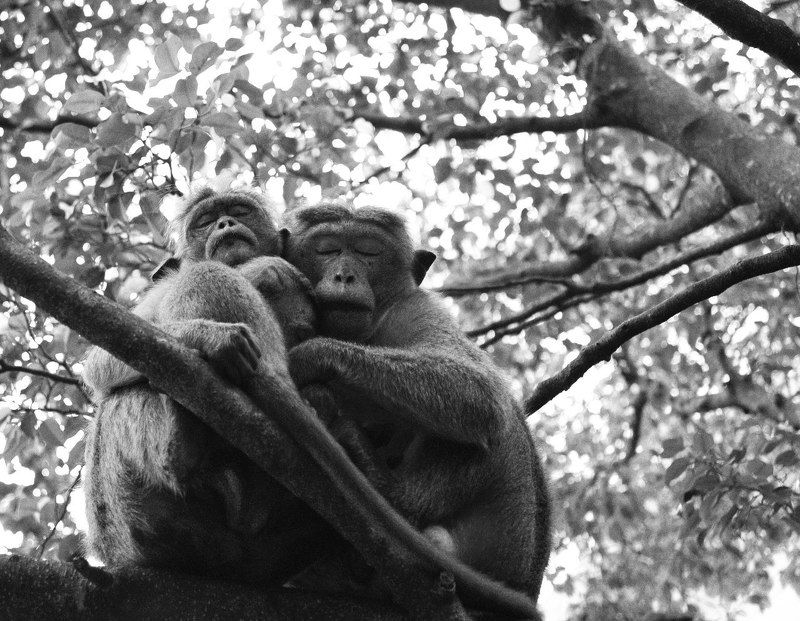 Aleksey Bozhenko, Russia