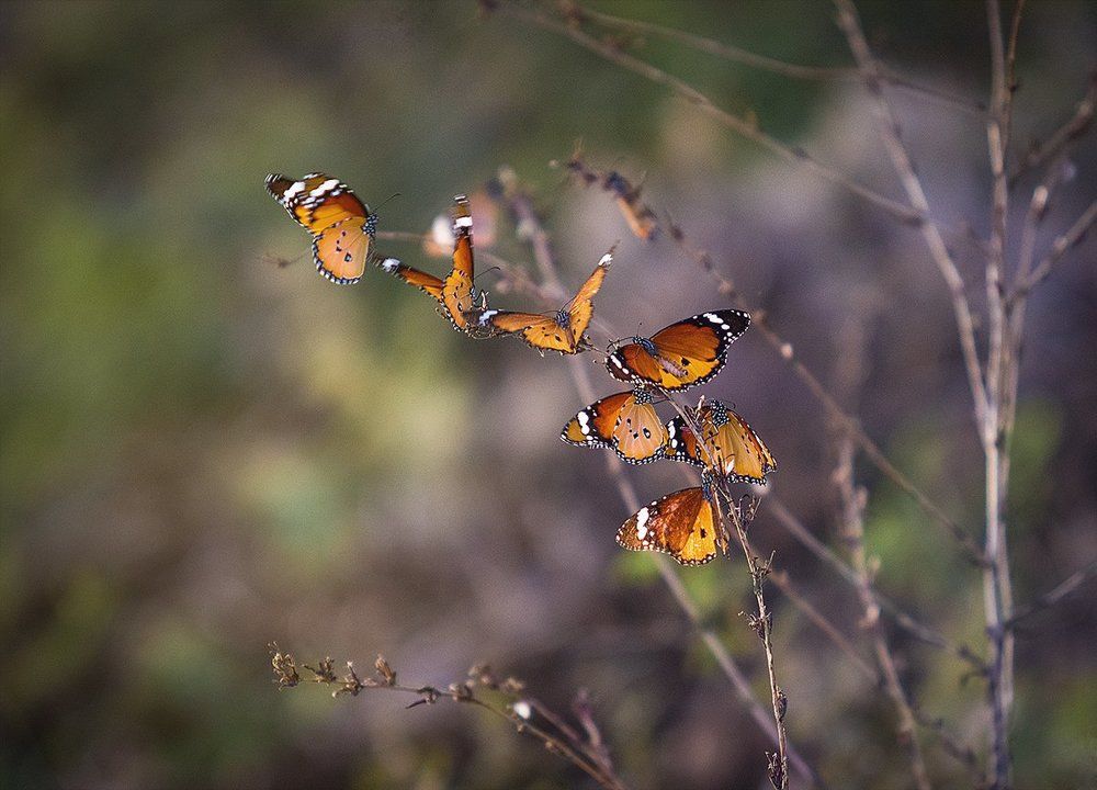 Photograph by Макс