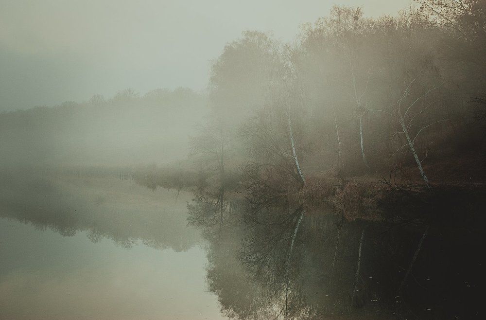 Туманное утро