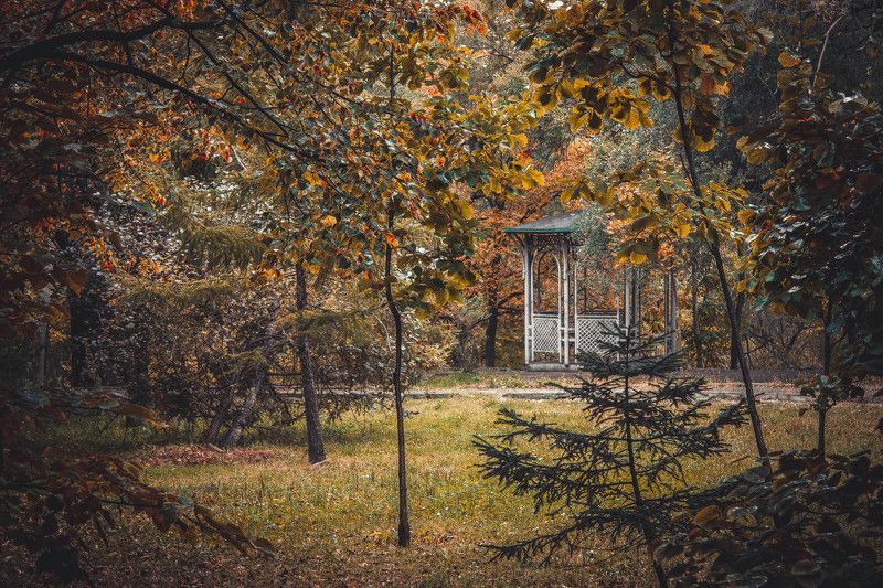 Anton Kapanin, Russia