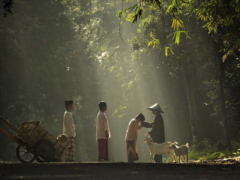 Tri Handoko, Indonesia