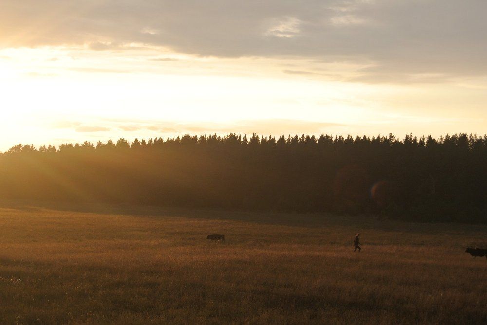 Photo #1111470