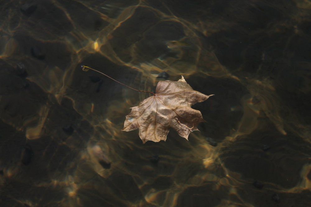 Ничто так не пробуждает воспоминания,как запах. Уильям Сомерсет Моэм.