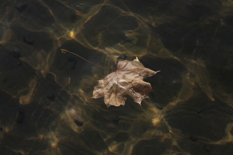 Анастасия, Russia