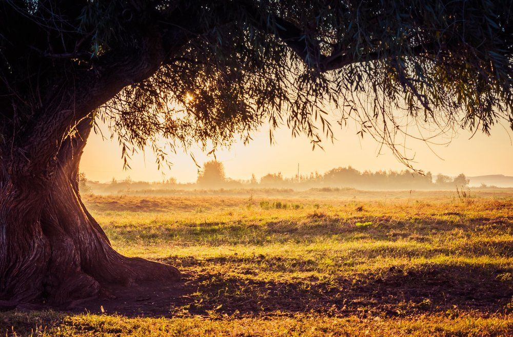 Photograph by Anastasia