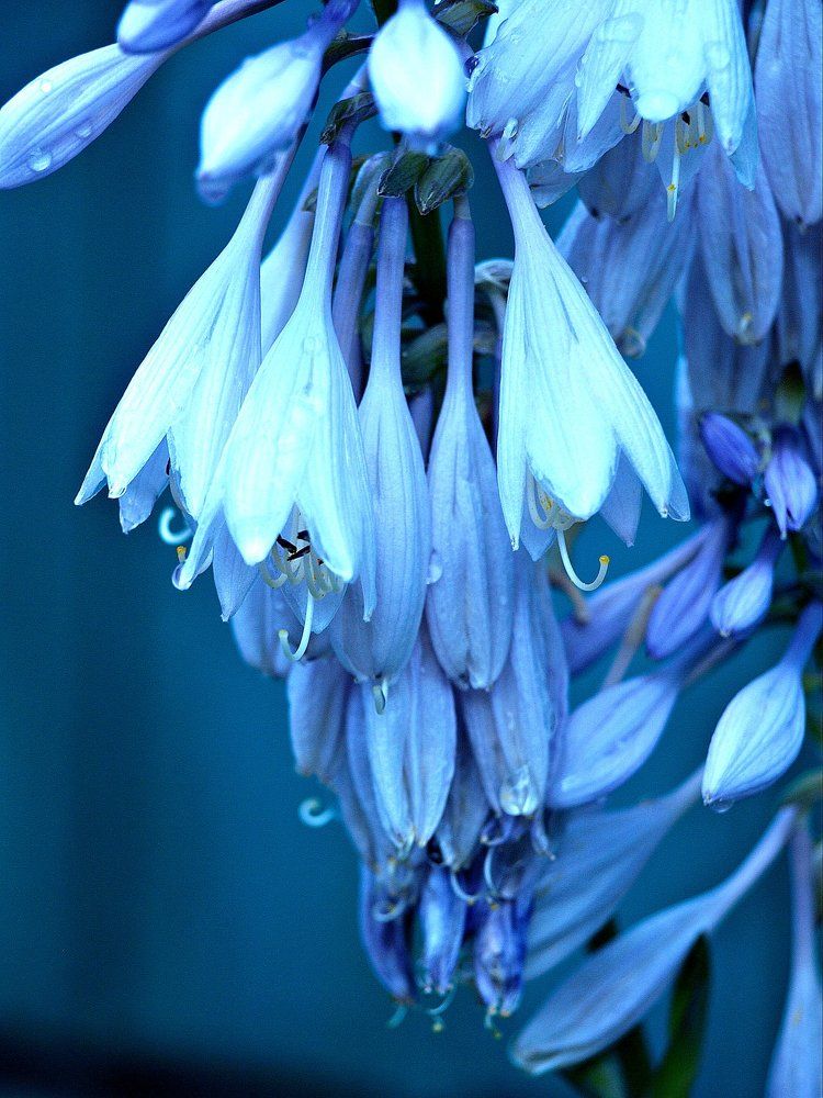 Одиночество