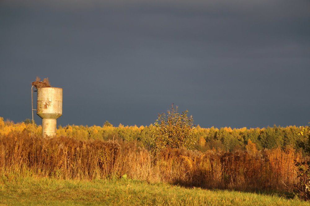 Снова осень