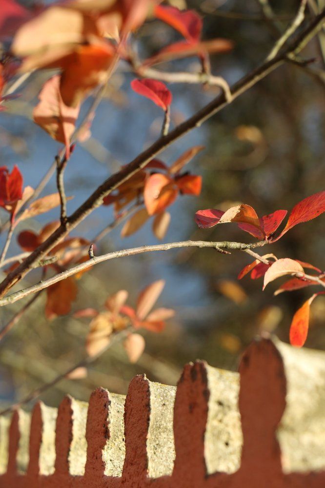 Photograph by Татьяна