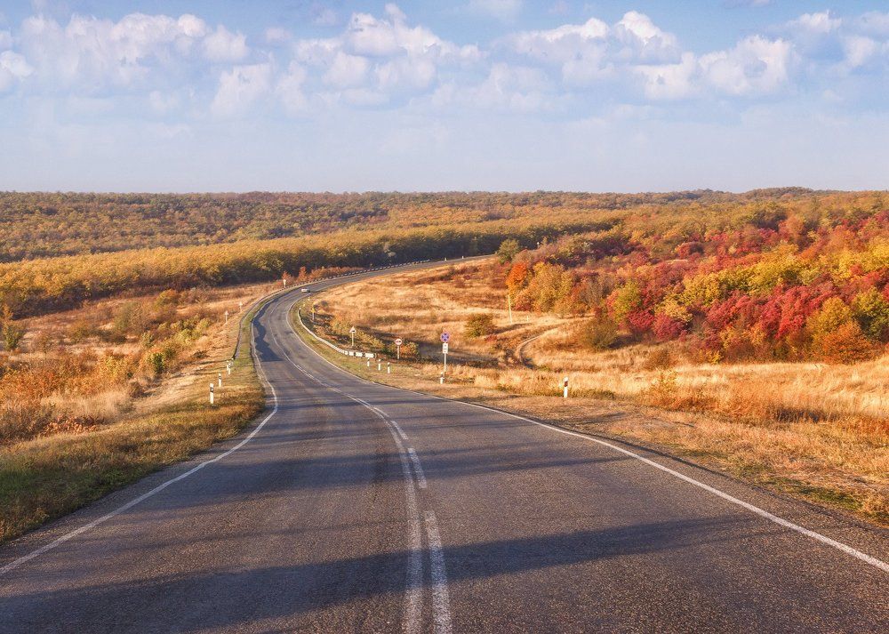 Дорога домой