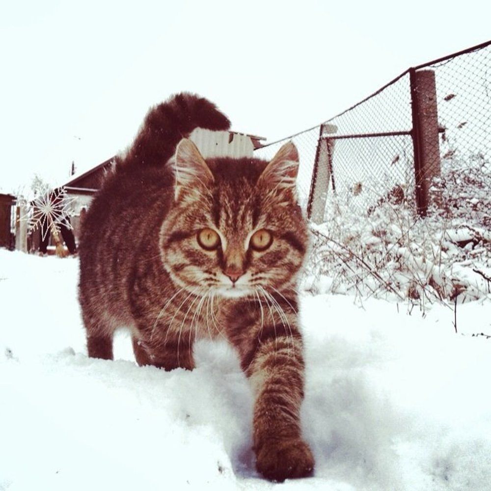 Photograph by Miras Dzhumagulov