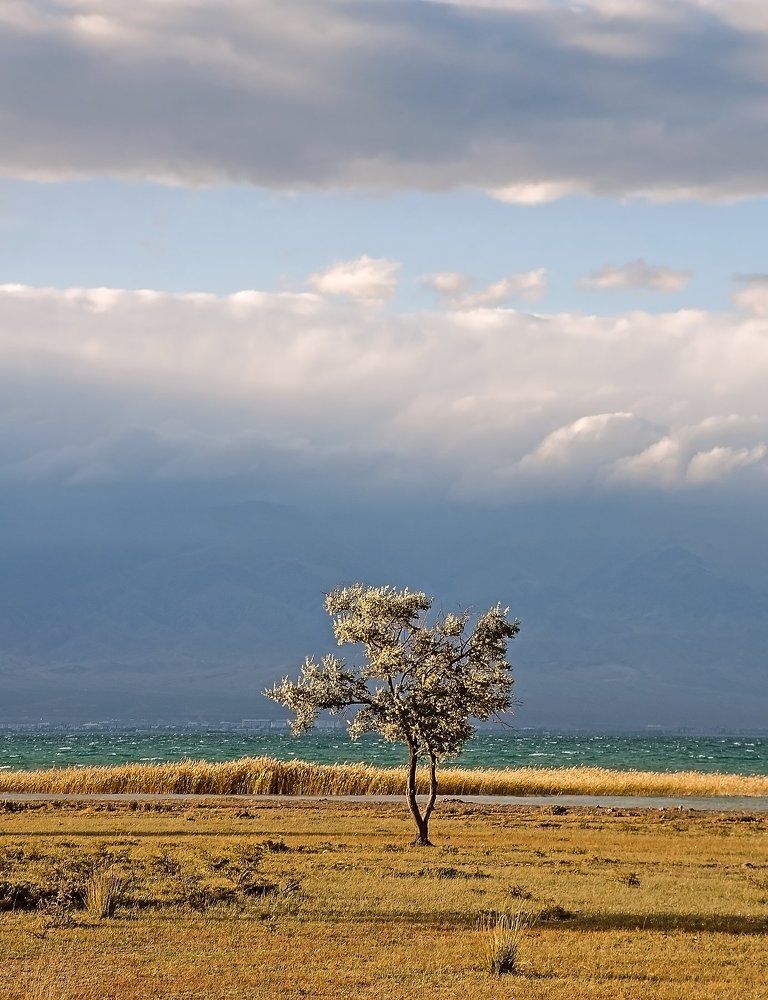 Один в поле воин