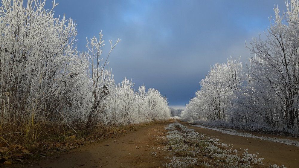 дорога в зимнюю  сказку