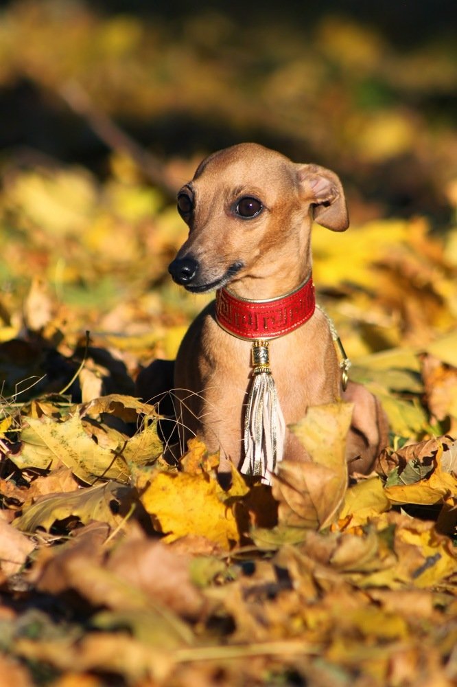 Photograph by Ирина