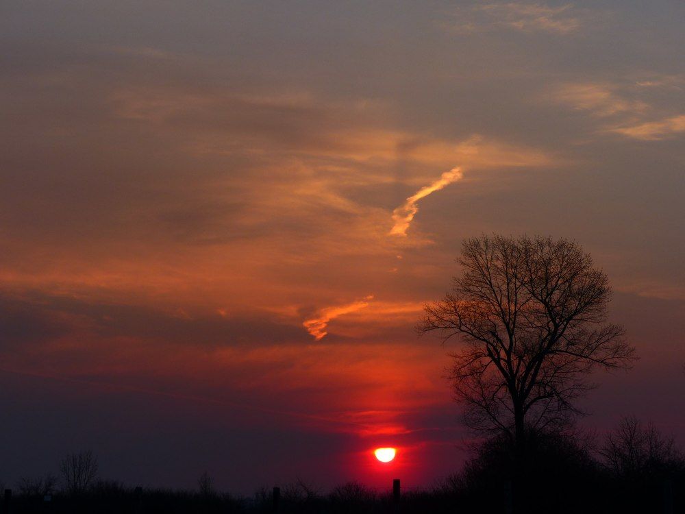 Photograph by Сергей