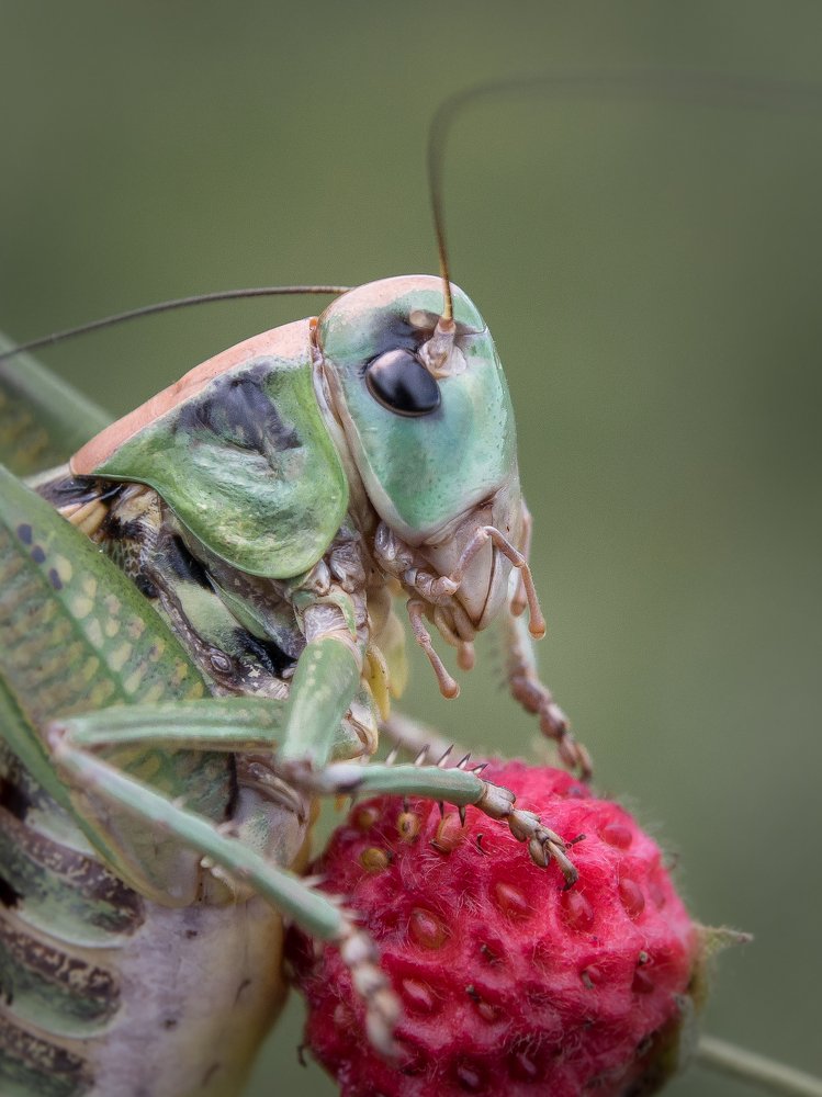 Пора перекусить