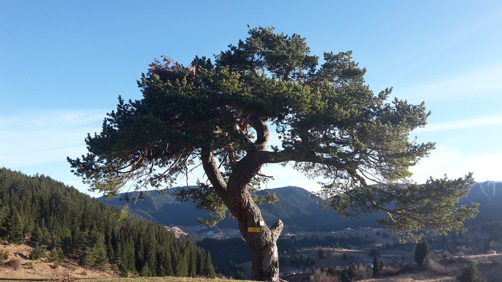 Photograph by Стефка Милушева