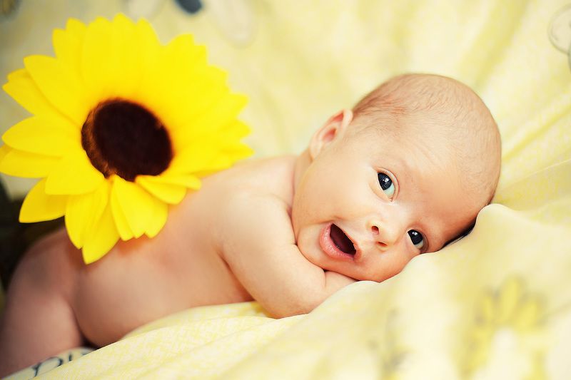 Виолетта, Russia