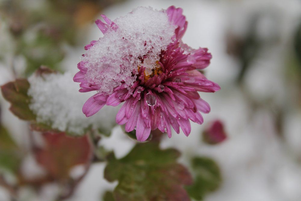 « Зима превращает падающую с неба воду и сердца людей в камень. » Виктор Гюго. Отверженные.